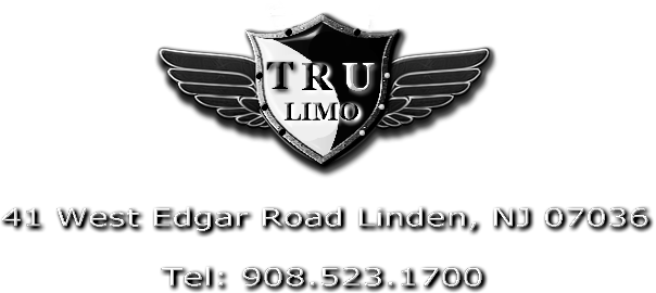 Tru Limo Party Bus And Limo Rental NJ PARTY BUS (14 Passenger)