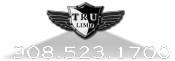 tru limo logo small22 TERMS & CONDITIONS